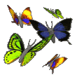 butterflies-rainbow-bridge